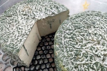 Полутвердый сыр с голубой плесенью